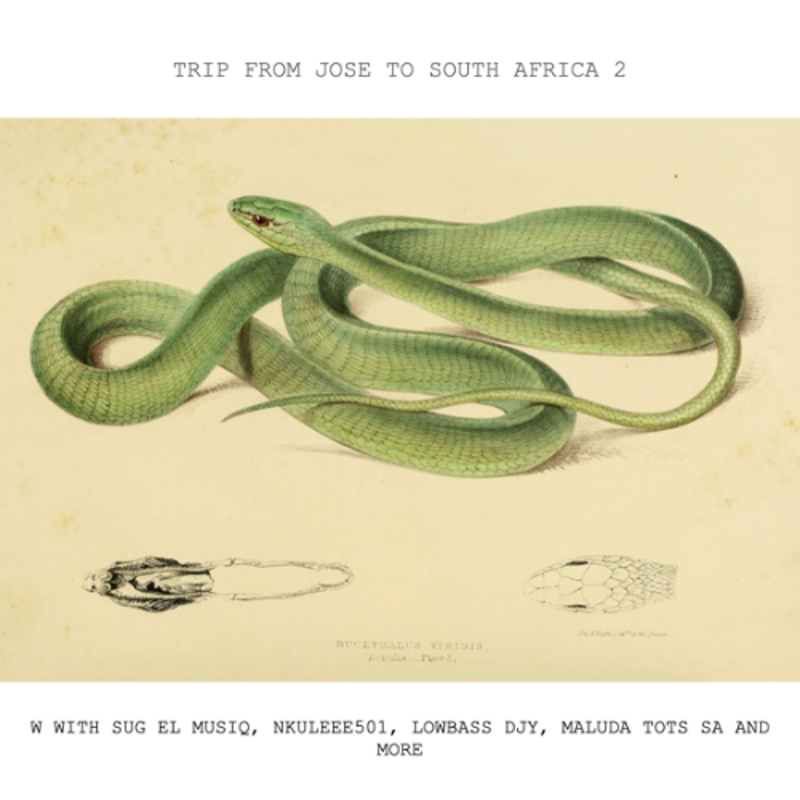 Trip from Jose to South Africa 2 with SuG El MusiQ, Nkuleee501, Lowbass Djy, Maluda Tots SA and more